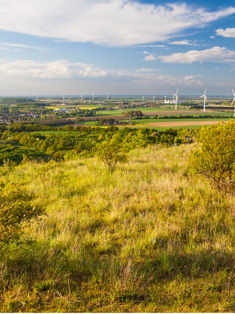 blick über die eifel